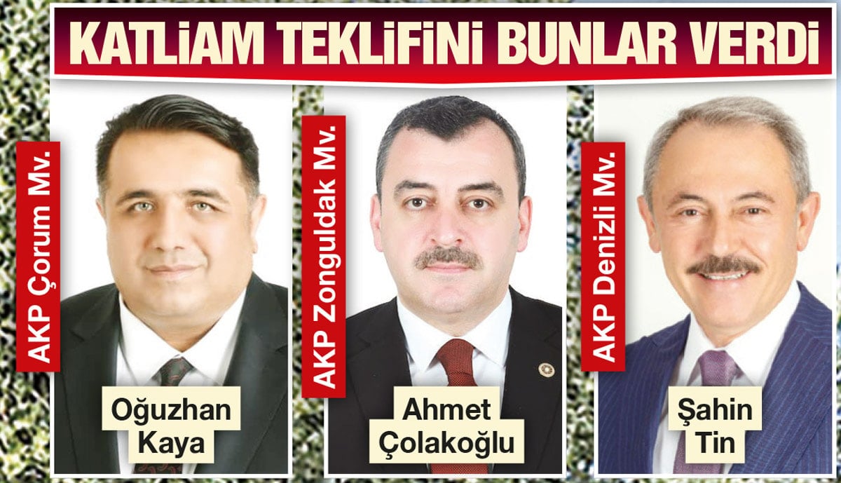 Zeytin Dalı