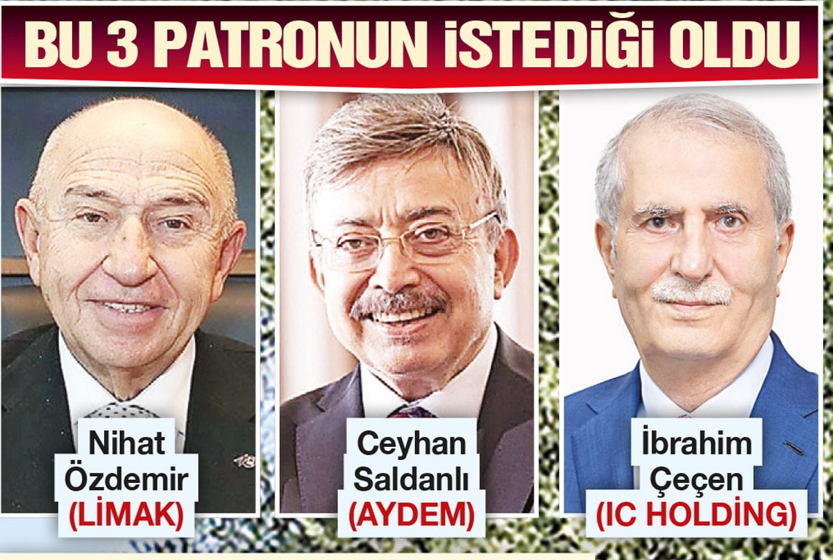 Zeytin Ağaçları