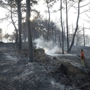 canakkale yangini ikinci gununde kontrol altinda ZrcmGEOu