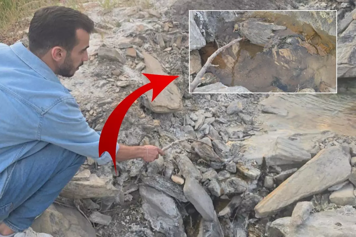 hakkaride gizemli vadi insanlara sifa hayvanlara olum getiriyor pbvhGqOC