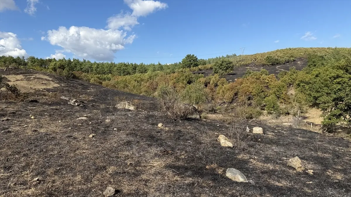 canda yangin kontrol altina alindi hGqlgBhO