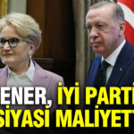 Aksener iyi parti icin bir siyasi maliyettir gT1m7kzg